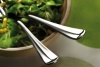 Ложка столовая PINTINOX BAGUETTE 08300001 фото