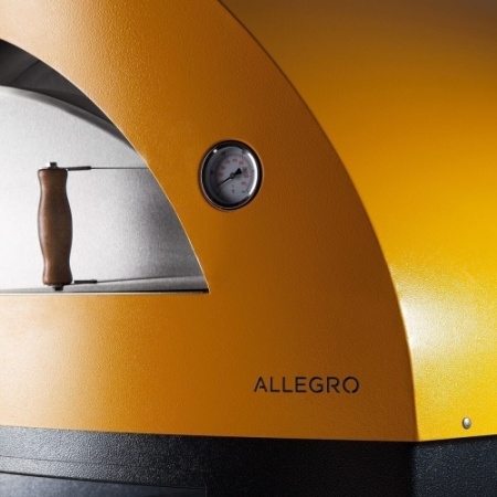 Печь для пиццы на дровах ALFA PIZZA Allegro фото
