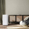 Мобильный кондиционер Electrolux EACM-07 XN/N6 Solo фото